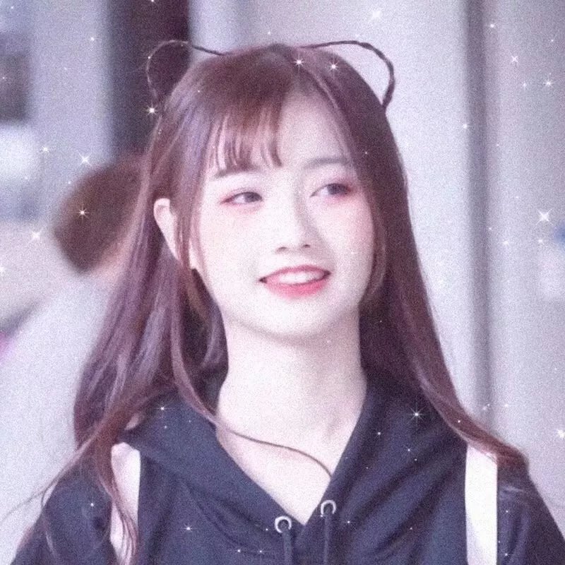 动物园之夜